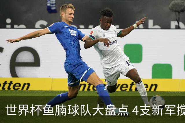 世界杯鱼腩球队大盘点 4支新军搅局者盼奇迹