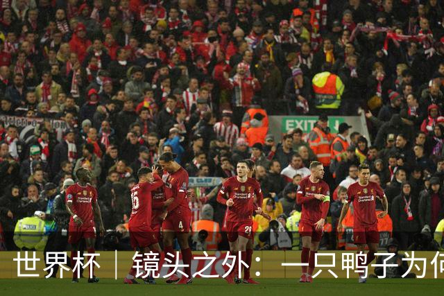 世界杯｜镜头之外：一只鸭子为何火遍世界杯？