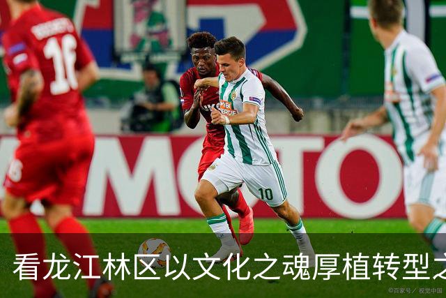 看龙江林区以文化之魂厚植转型之基