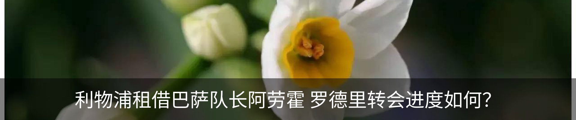 资讯中心