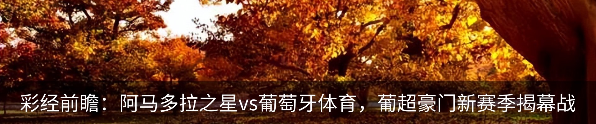 资讯中心