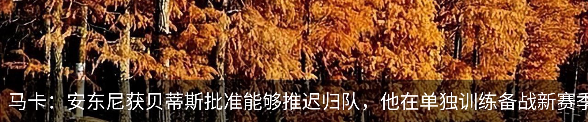 资讯中心